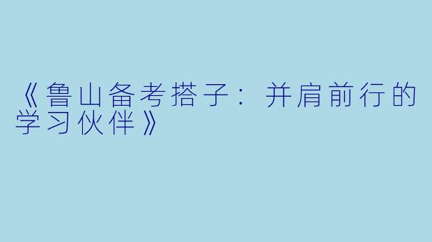 《鲁山备考搭子：并肩前行的学习伙伴》