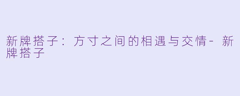 新牌搭子：方寸之间的相遇与交情-新牌搭子