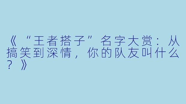 《“王者搭子”名字大赏：从搞笑到深情，你的队友叫什么？》