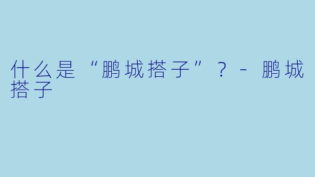 什么是“鹏城搭子”？-鹏城搭子