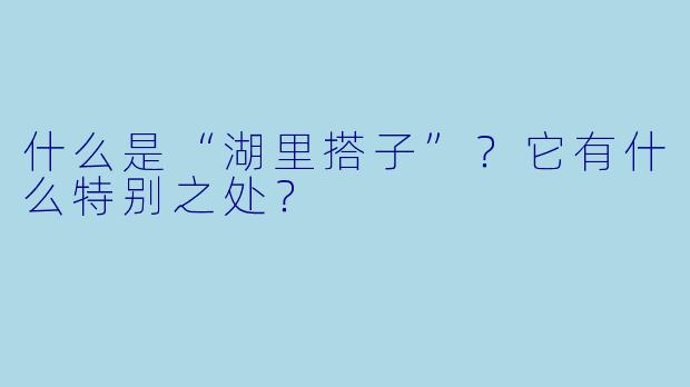 什么是“湖里搭子”？它有什么特别之处？