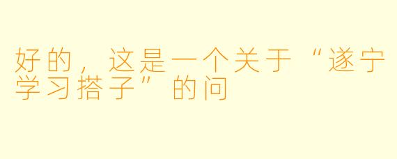 好的，这是一个关于“遂宁学习搭子”的问
