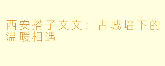 西安搭子文文：古城墙下的温暖相遇