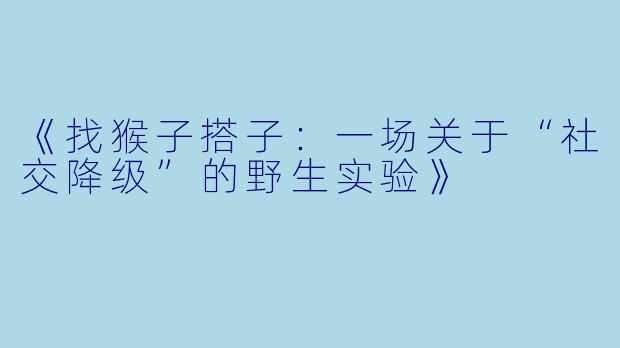 《找猴子搭子：一场关于“社交降级”的野生实验》
