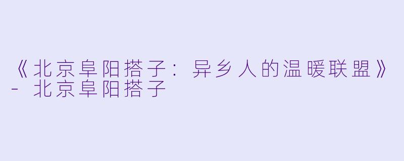 《北京阜阳搭子：异乡人的温暖联盟》-北京阜阳搭子