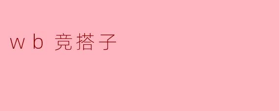 wb竞搭子