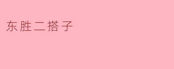 东胜二搭子