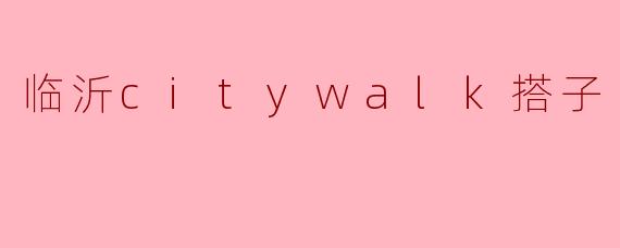 临沂citywalk搭子
