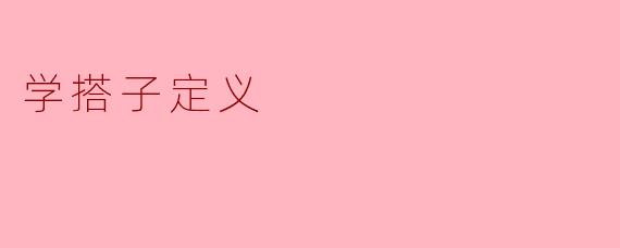学搭子定义