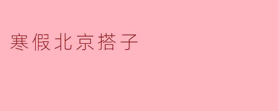 寒假北京搭子