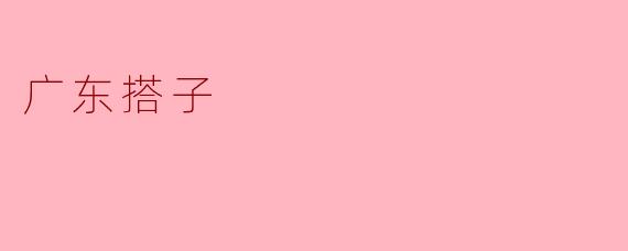广东搭子