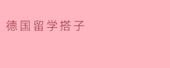 德国留学搭子