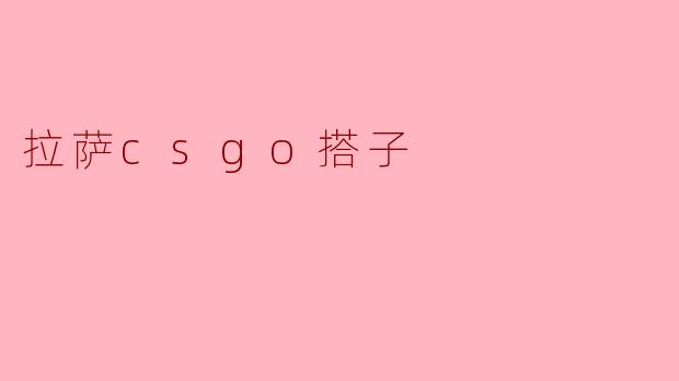 拉萨csgo搭子