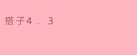 搭子4.3
