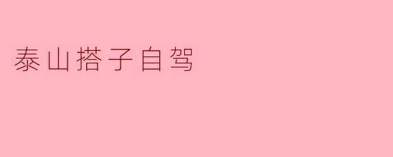 泰山搭子自驾