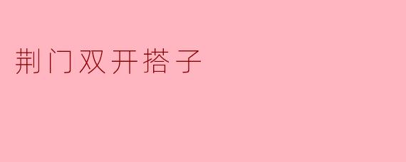 荆门双开搭子
