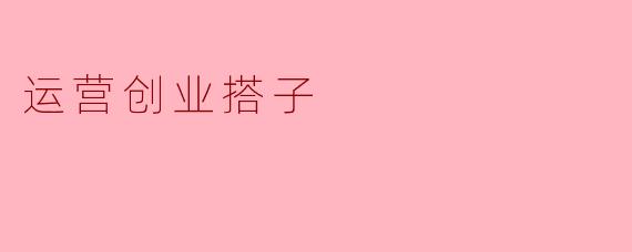 运营创业搭子