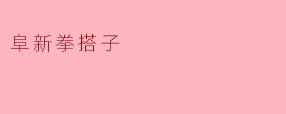 阜新拳搭子