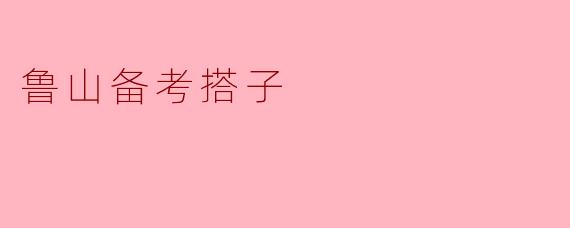 鲁山备考搭子