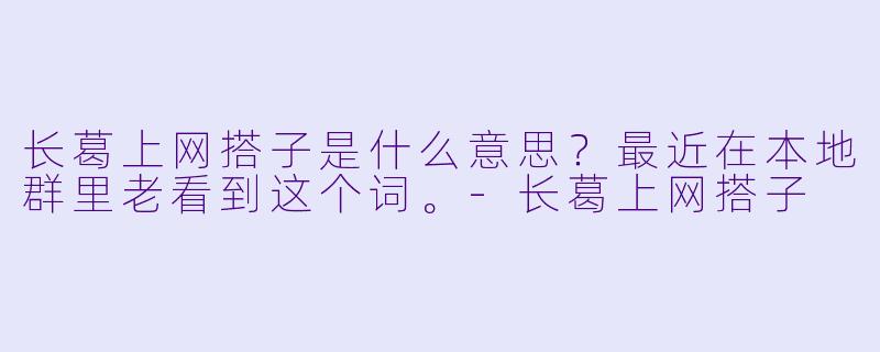 长葛上网搭子是什么意思？最近在本地群里老看到这个词。-长葛上网搭子