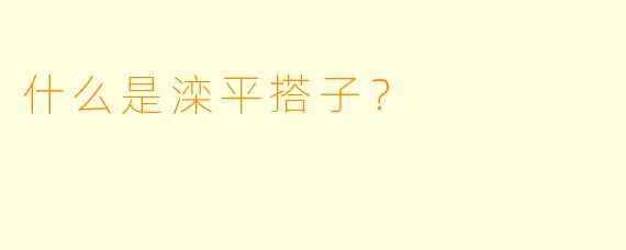 什么是滦平搭子？
