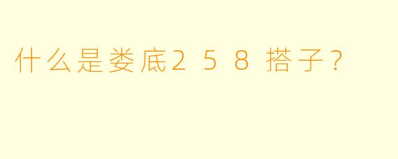 什么是娄底258搭子？