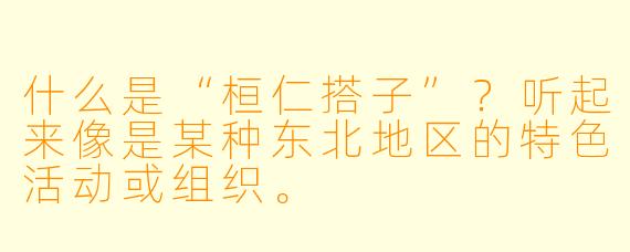 什么是“桓仁搭子”？听起来像是某种东北地区的特色活动或组织。