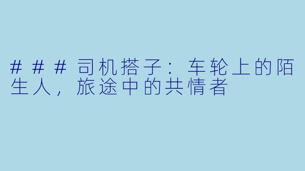 ###司机搭子：车轮上的陌生人，旅途中的共情者