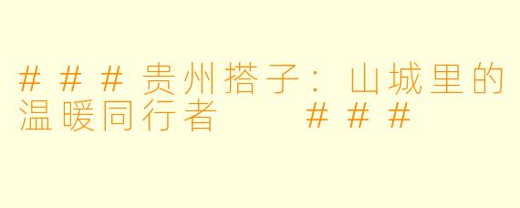 ###贵州搭子：山城里的温暖同行者

###
