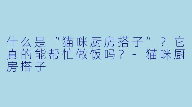 什么是“猫咪厨房搭子”？它真的能帮忙做饭吗？-猫咪厨房搭子