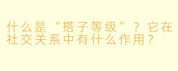 什么是“搭子等级”？它在社交关系中有什么作用？