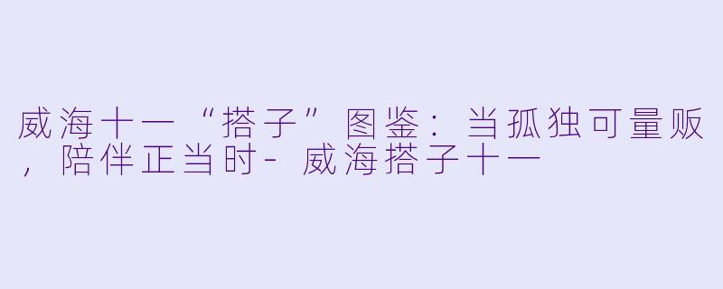 威海十一“搭子”图鉴：当孤独可量贩，陪伴正当时-威海搭子十一