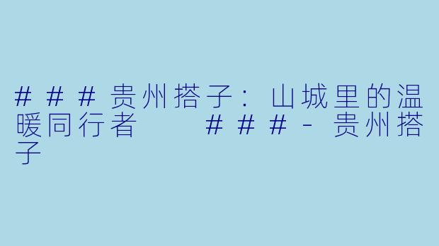 ###贵州搭子：山城里的温暖同行者

###-贵州搭子