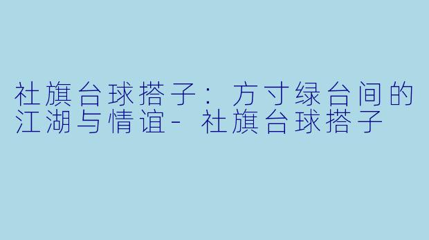 社旗台球搭子：方寸绿台间的江湖与情谊-社旗台球搭子