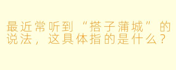 最近常听到“搭子蒲城”的说法，这具体指的是什么？