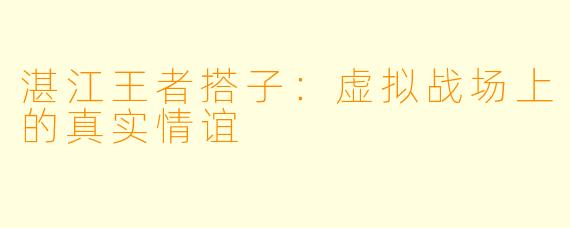 湛江王者搭子：虚拟战场上的真实情谊