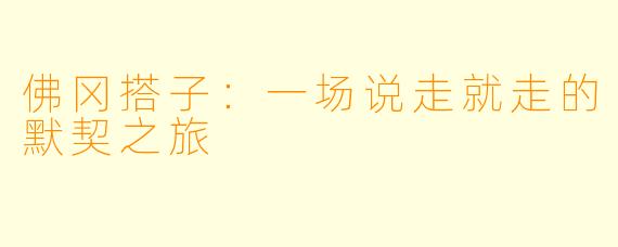 佛冈搭子：一场说走就走的默契之旅