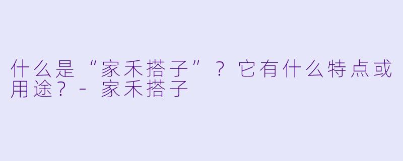 什么是“家禾搭子”？它有什么特点或用途？-家禾搭子