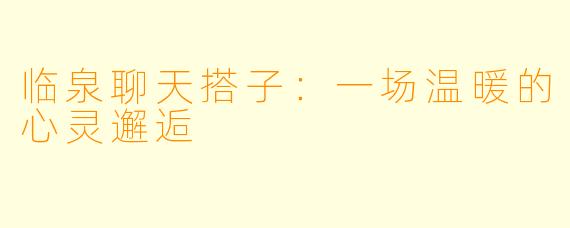 临泉聊天搭子：一场温暖的心灵邂逅