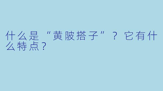 什么是“黄陂搭子”？它有什么特点？