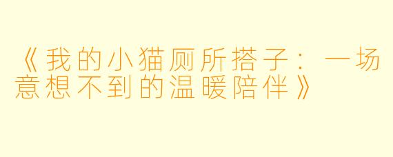 《我的小猫厕所搭子：一场意想不到的温暖陪伴》