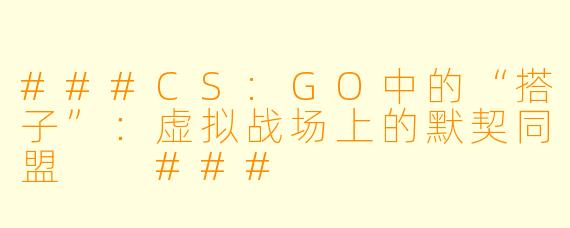 ###CS:GO中的“搭子”：虚拟战场上的默契同盟

###