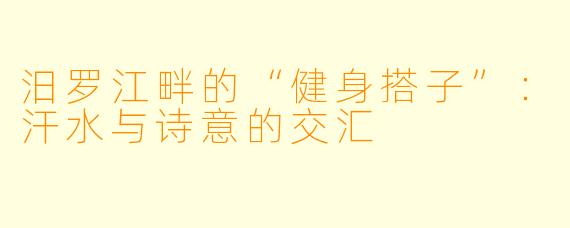 汨罗江畔的“健身搭子”：汗水与诗意的交汇