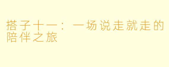 搭子十一：一场说走就走的陪伴之旅