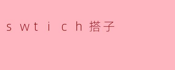 swtich搭子