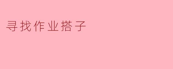 寻找作业搭子