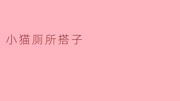 小猫厕所搭子