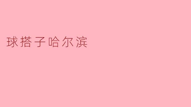 球搭子哈尔滨
