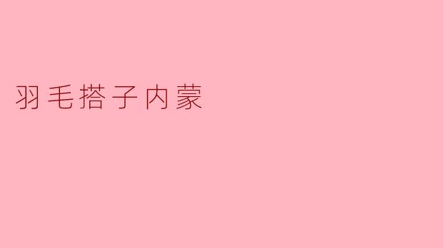羽毛搭子内蒙