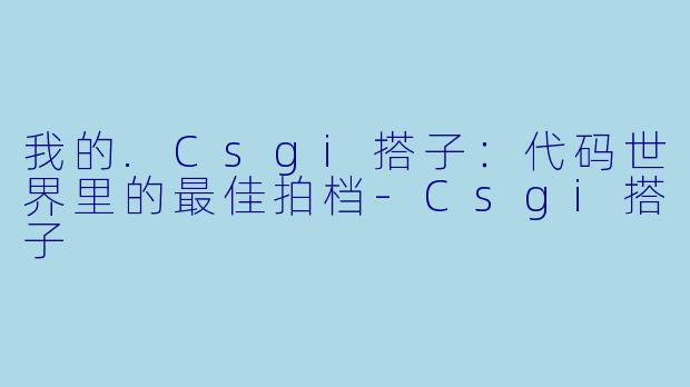 我的.Csgi搭子：代码世界里的最佳拍档-Csgi搭子
